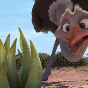Khumba: lo struzzo Bradley alle prese con una pianta di Aloe in una scena del film