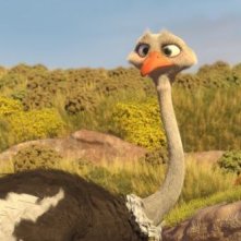 Khumba: lo struzzo Bradley in una scena del film