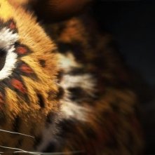 Khumba: Phango il temibile leopardo in una scena del film