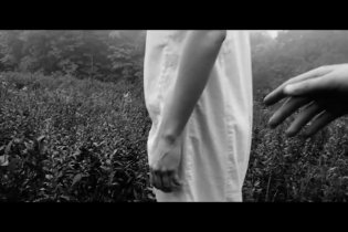 Teaser Trailer - The Better Angels