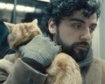 Dal 5 febbraio al 5 aprile torna Cinema al MAXXI