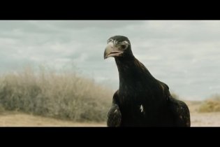 Teaser Trailer - The Rover