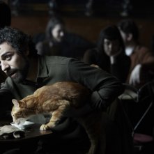 A proposito di Davis: Oscar Isaac con il suo inseparabile gatto rosso in una scena tratta dal film