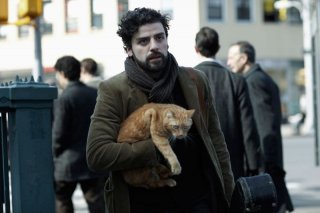 A proposito di Davis: Oscar Isaac, protagonista del film, insieme al suo bel micione rosso in un momento del film