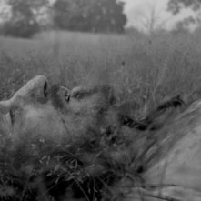 A Field in England: Reece Shearsmith disteso nell'erba