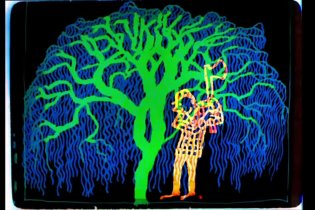 Trailer - Is the Man Who Is Tall Happy?: An Animated Conversation with Noam Chomsky