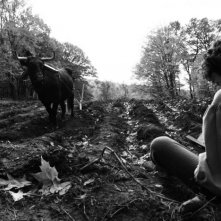 The Better Angels: Braydon Denney in una scena