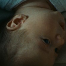 Parasite: una tenera scena del film