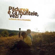 The Forest is Like the Mountains: la locandina del film