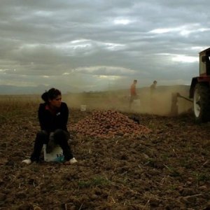 The Forest is Like the Mountains: una scena