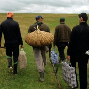 The Forest is Like the Mountains: una scena di gruppo