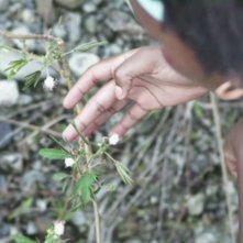 Chocò: una scena tratta dal film