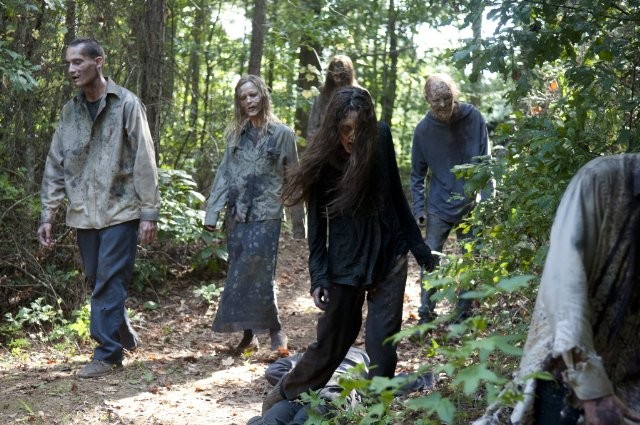 The Walking Dead: le ragioni del successo della serie AMC - Movieplayer.it