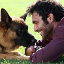 Rex 6 Francesco Arca In Una Immagine Promozionale 299784