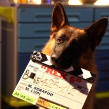 Rex 6: il cane protagonista sul set della fiction
