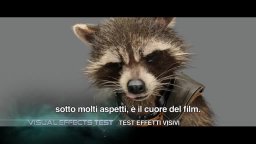 Ecco Rocket - Guardians of the Galaxy