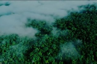 Teaser Trailer - Paddington 