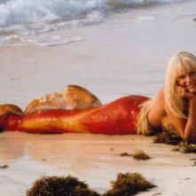 Daryl Hannah splendida sirena bionda in Splash! di Ron Howard