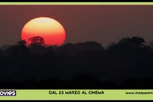 Trailer Italiano - Amazzonia 3D