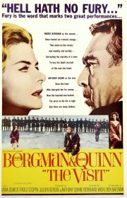 La vendetta della signora: la locandina del film