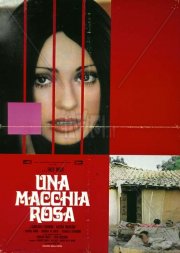 Una macchia rosa: la locandina del film