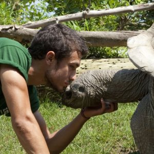 La luna su Torino: il protagonista del film Eugenio Franceschini bacia una tartaruga in una scena del film