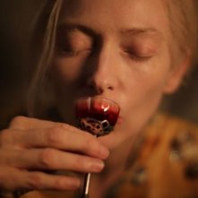 Only Lovers Left Alive: Tilda Swinton intenta a nutrirsi