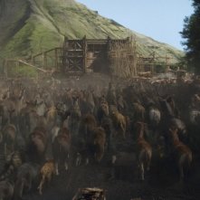 Noah: gli animali si dirigono sull'arca