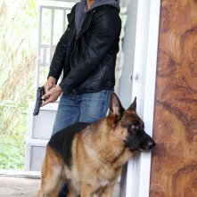 Rex 7: Francesco Arca in una foto di scena della serie