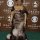 Shirley Caesar