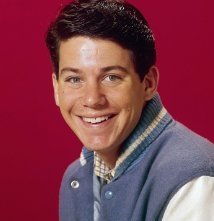 Una foto di Anson Williams