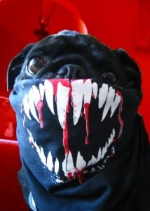 Una foto di Dave Callaham