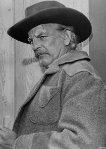 Una foto di Denver Pyle