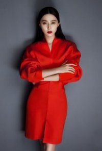 Una foto di Fan Bingbing