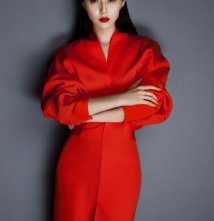 Una foto di Fan Bingbing