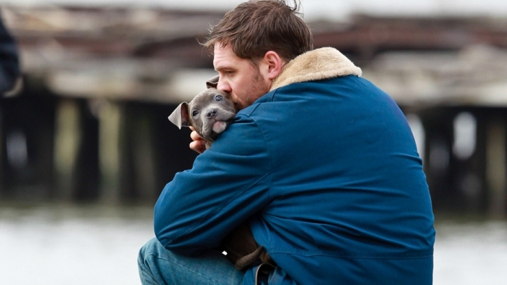 Chi è senza colpa: Tom Hardy e il suo cucciolo