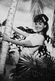 Una foto di Dawn Wells