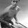 John Payne