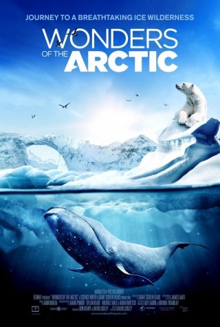 Wonders of the Arctic 3D: la locandina del film