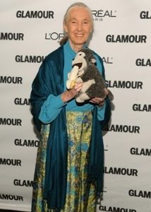 Una foto di Jane Goodall