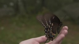 Trailer - Alien Abduction