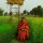 Vandana Shiva