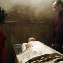 Agents of S.H.I.E.L.D.: Bill Paxton nell'episodio Providence