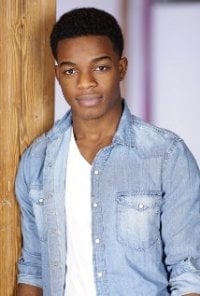 Una foto di Stephan James