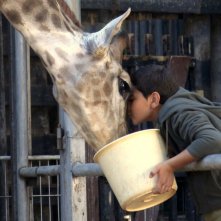 Giraffada: Ahmed Bayatra in una scena del film con la sua adorata giraffa