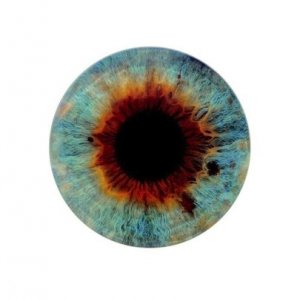 I Origins: la locandina del film