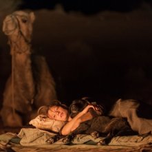 Tracks - Attraverso il deserto: Mia Wasikowska nella notte del deserto in una scena