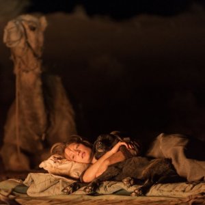Tracks - Attraverso il deserto: Mia Wasikowska nella notte del deserto in una scena