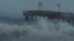 Trailer - Dolphin Tale 2