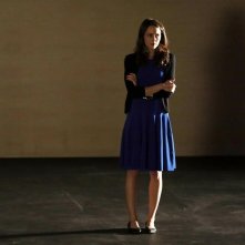 Agents of S.H.I.E.L.D.: Amy Acker in una scena dell'episodio The Only Light in the Darkness, prima stagione